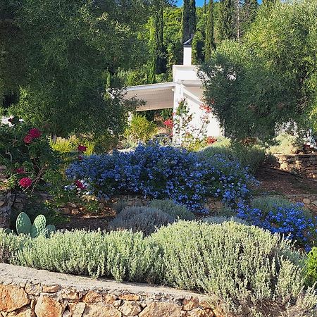 Villa Buras Skinária Buitenkant foto