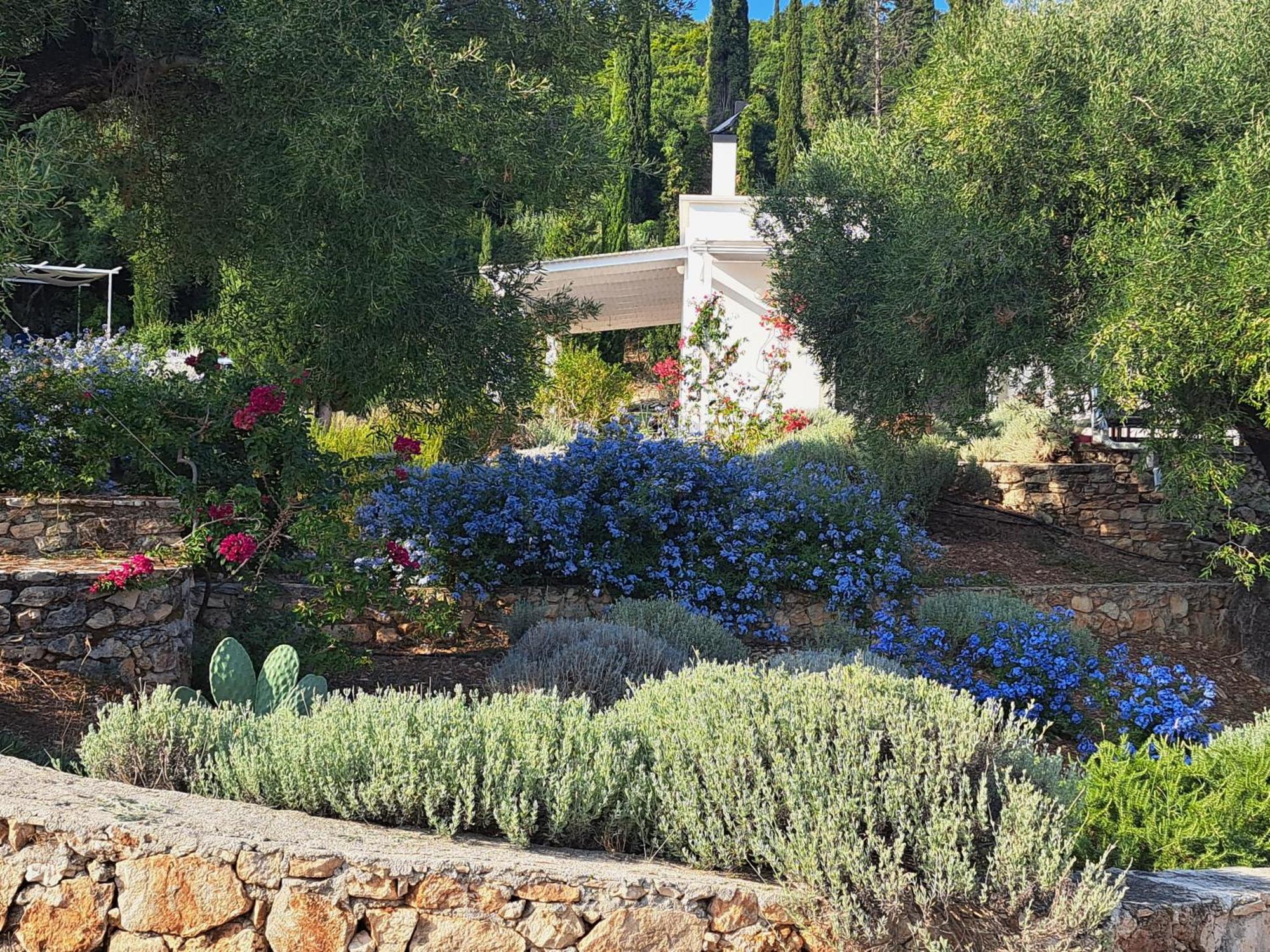 Villa Buras Skinária Buitenkant foto