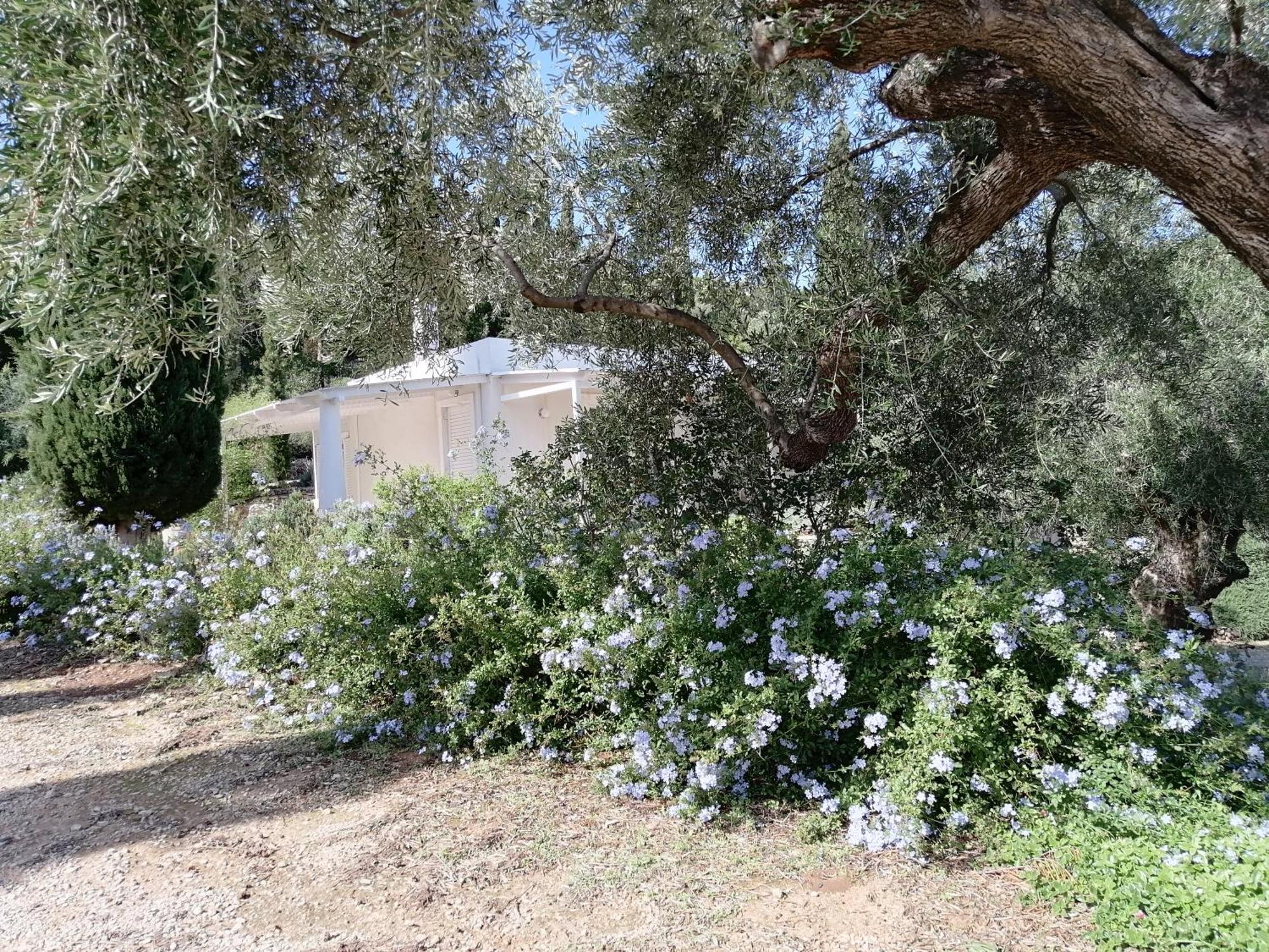 Villa Buras Skinária Buitenkant foto