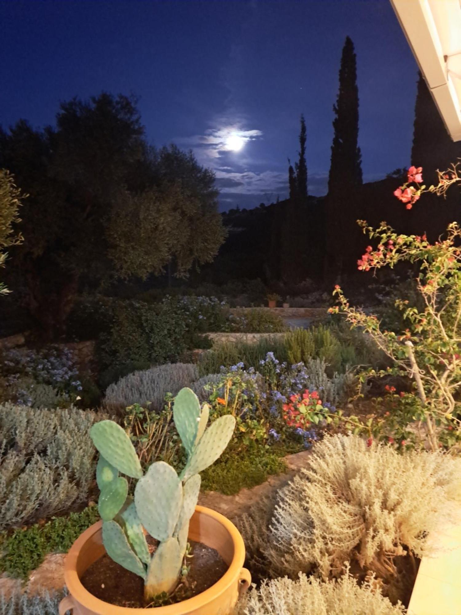 Villa Buras Skinária Buitenkant foto