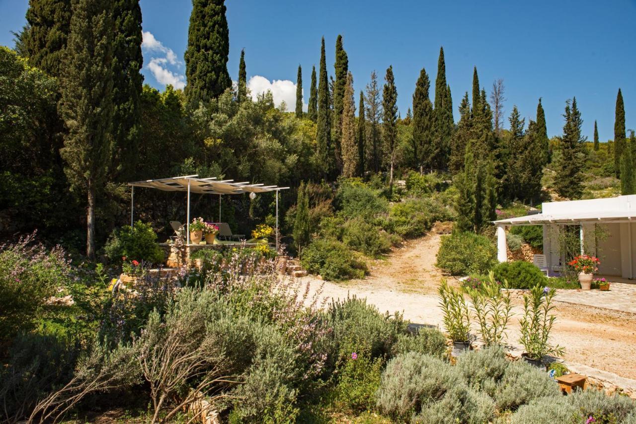 Villa Buras Skinária Buitenkant foto